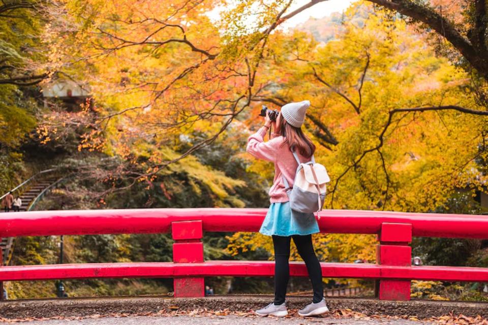  A woman in a pink sweater and beanie takes photos of vibrant autumn foliage from a red bridge.